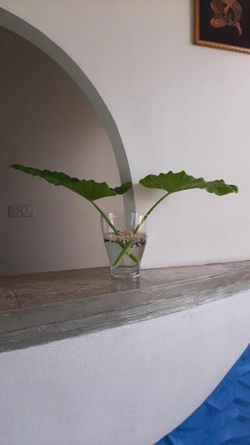 Akurala Beach Boutique Resort Εξωτερικό φωτογραφία
