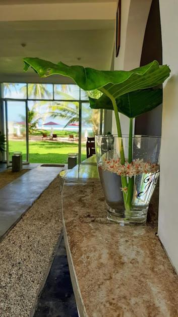 Akurala Beach Boutique Resort Εξωτερικό φωτογραφία